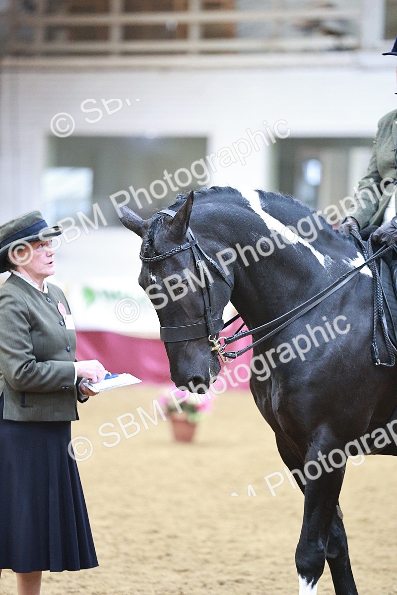 SBM_08972 - Class 12R - Regional Ridden Pre-Vet