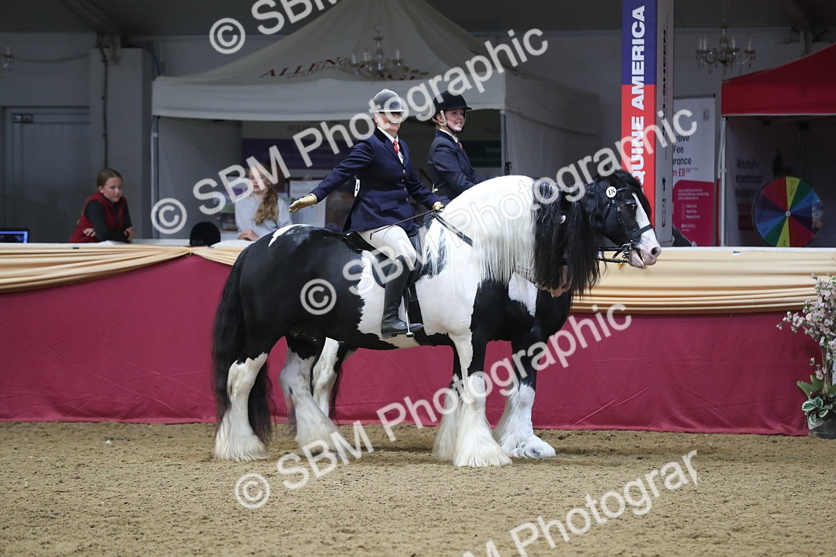 SBM_13678 - Class 109 Ridden Pairs - Section B