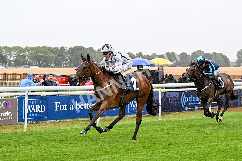 150725-Race 1-Dunkeld Dreamer-0084 - Race 1