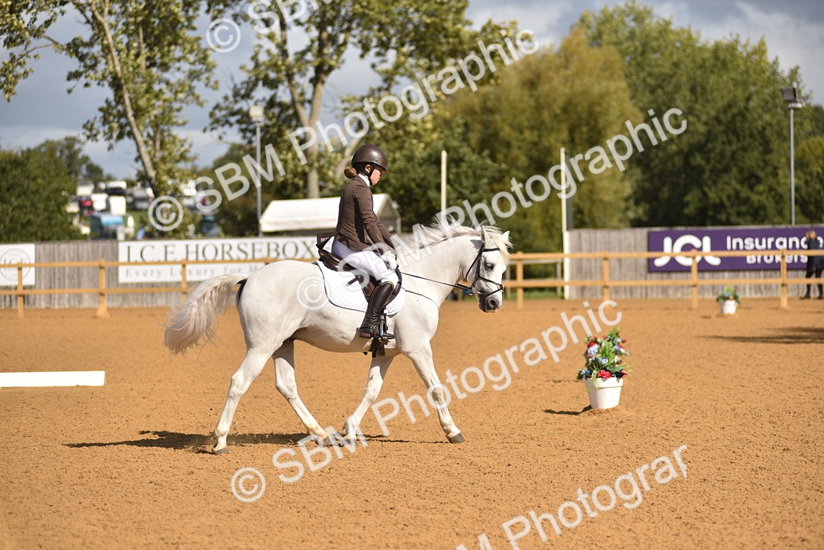 SBM_03234 - D4 - Small Tour Championship Intro 4