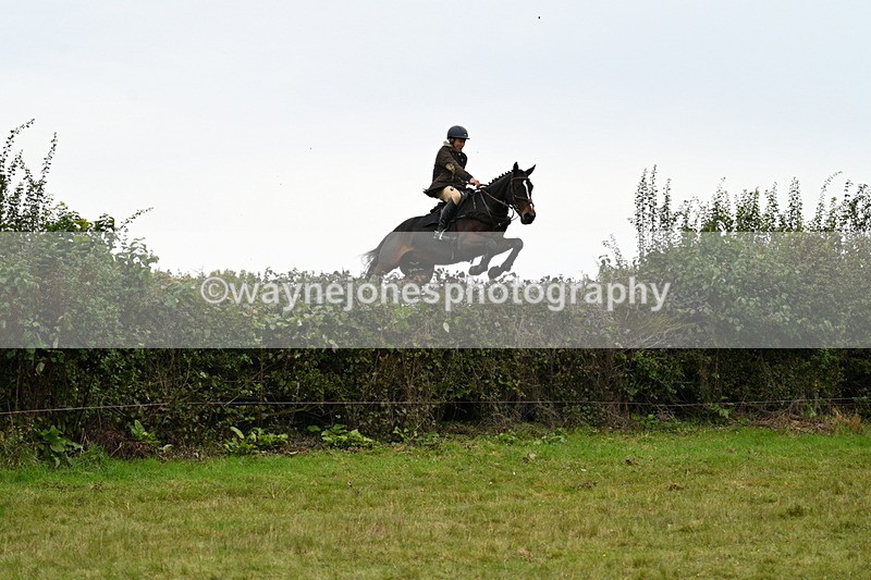 WJ7_4131 - Camera 1 Line 2