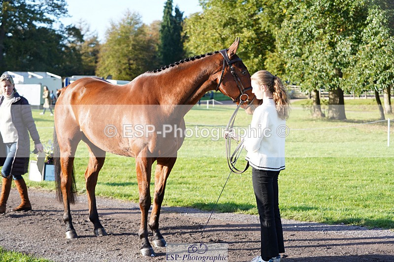 241026-101452-11711 - 011-Carla.Williamson-GOLDMAN