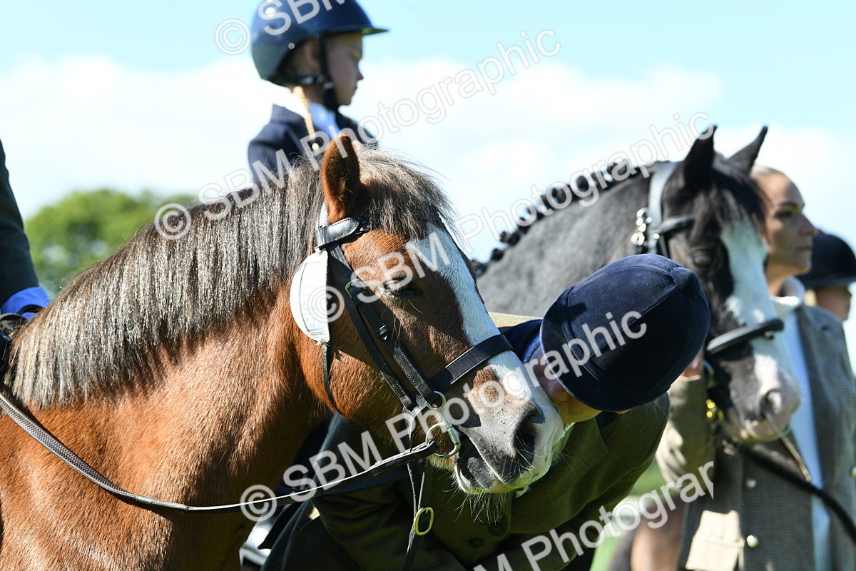SBM_39628 - S18 - Novice & Newcomers Lead Rein Pony