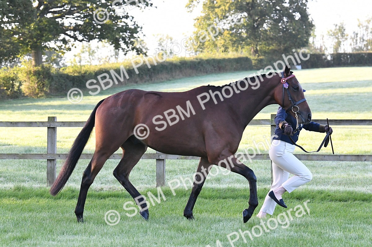 SBM_32571 - S15 - Condition & Turnout In Hand
