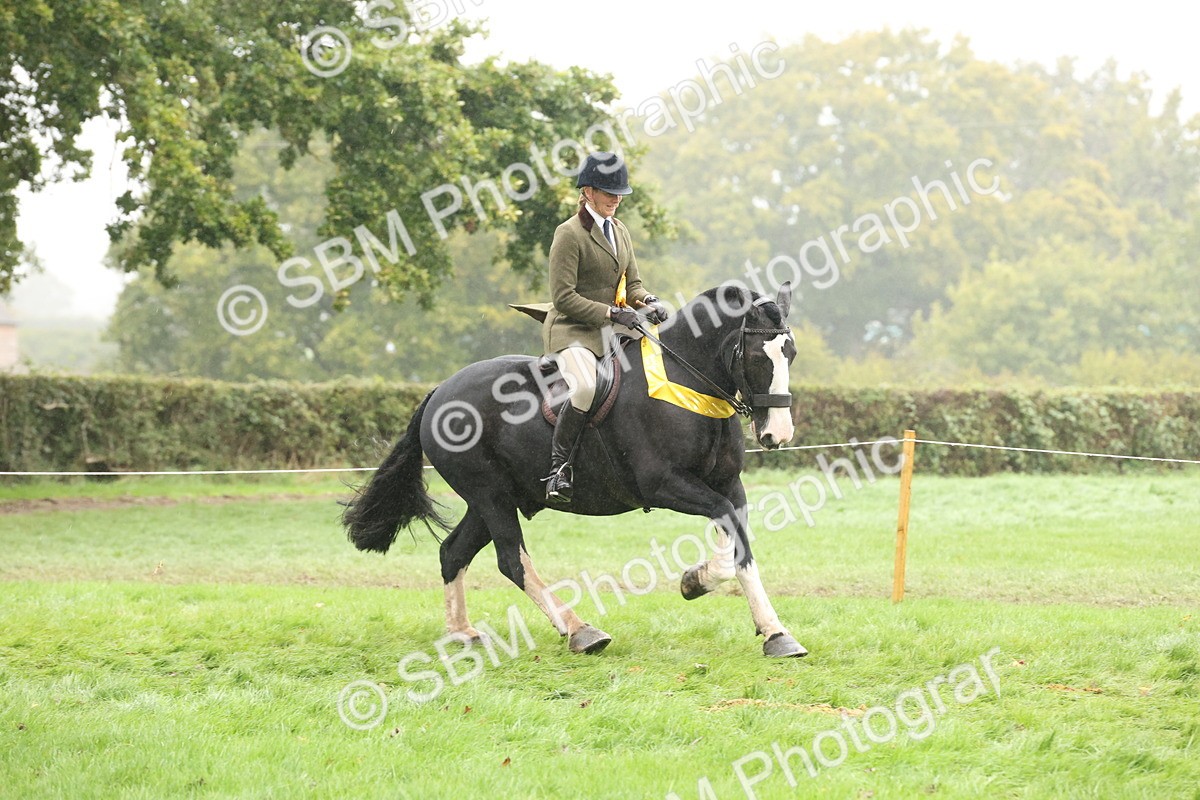 SBM_72915 - Ridden Horse Supreme Championship