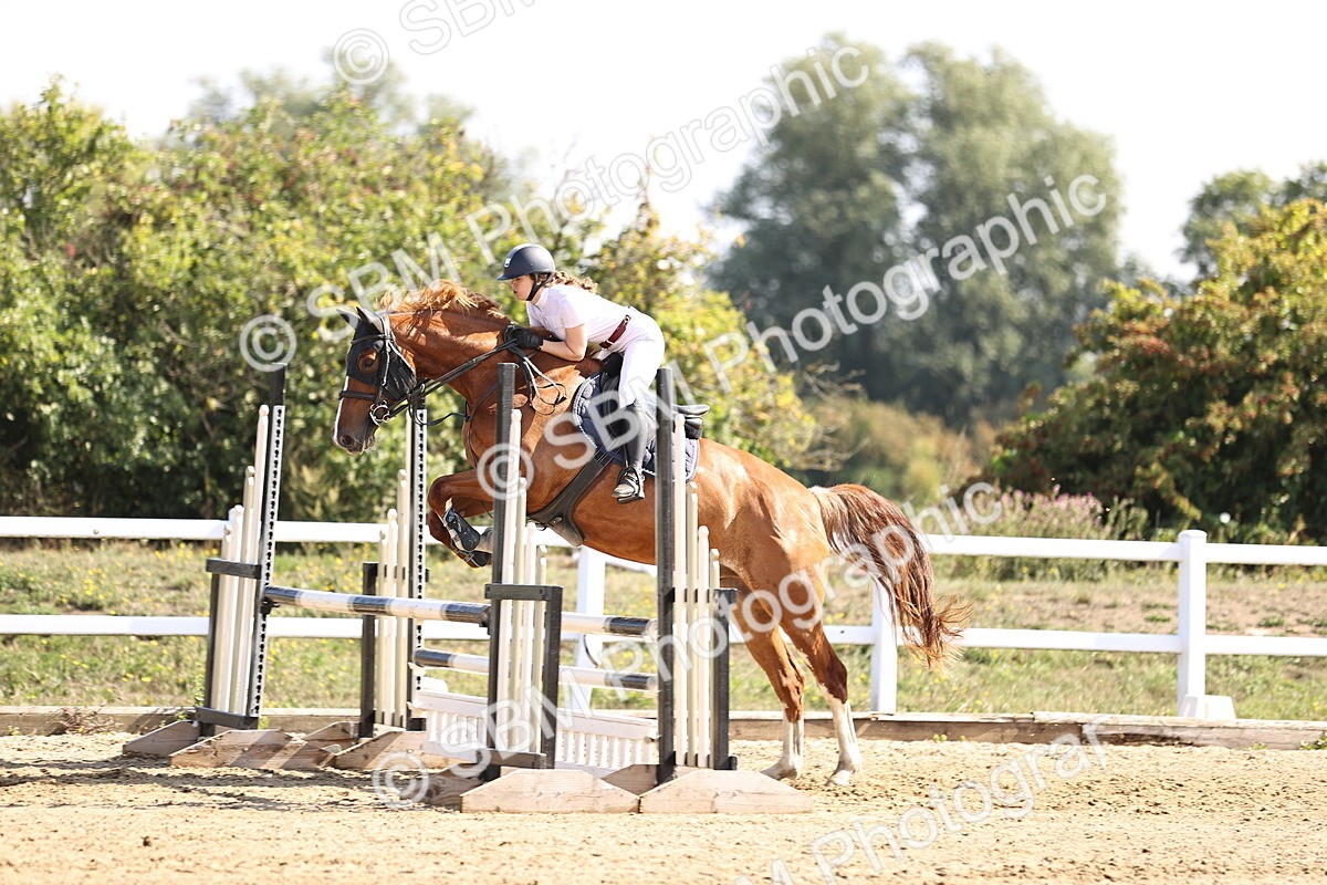 SBM_005644 - Class 9 - Senior British Novice - 90cm