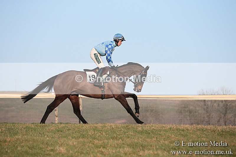 PtP 230219 593 - Vine & Craven Point-To-Point - Barbury 23/02/19