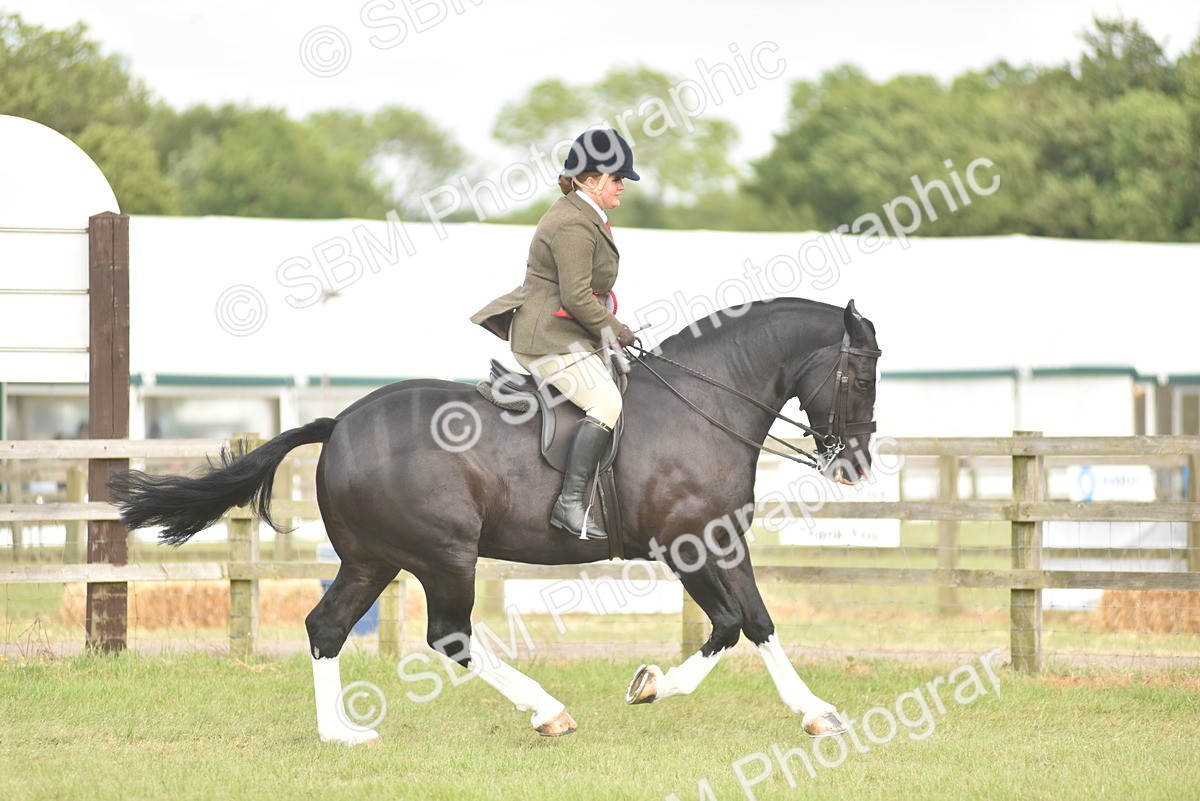 SBM_18268 - Class 122-123 - LIHS BHSA Raising Star Style and Performance Series