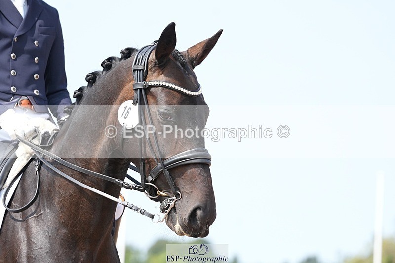 250815-124642-01077 - 016-Ben.JamesToto.light