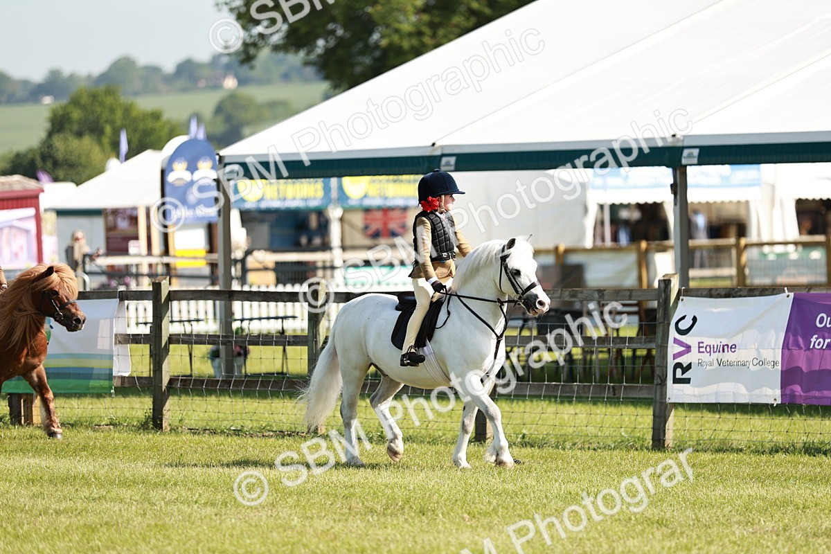 SBM_12561 - Class 106-107 - BSPS LIHS Working Sports Pony