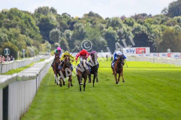 260823-Race 1-Spirit Dancer-0099 - Race 1 Sky Bet And Symphony Group Strensall Stakes