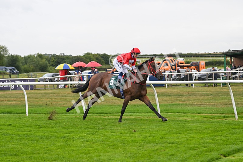 270825-Race 2-Rogue Attraction-4865 - Race 2