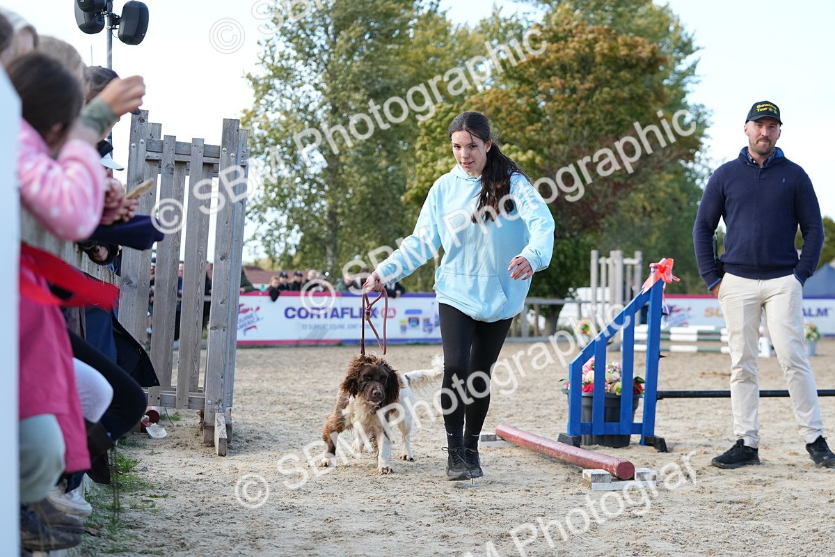 SBM_29151 - J43 - Horse & Hound Open 50cm