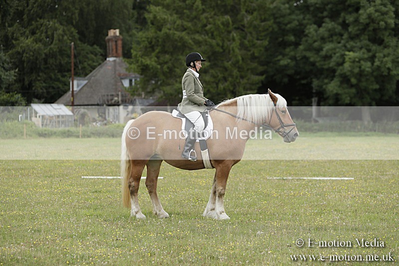 BVR160717-669 - Class 1 & 23a Dressage 16/07/17