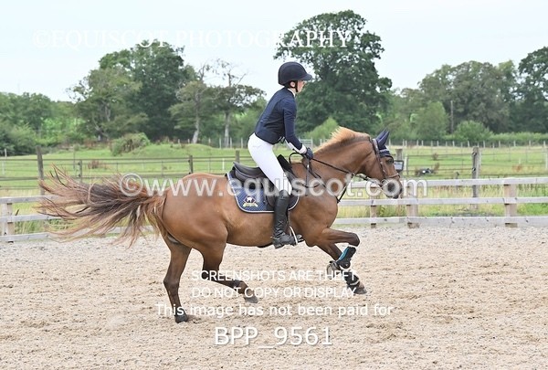 BPP_9561 - 1 METRE