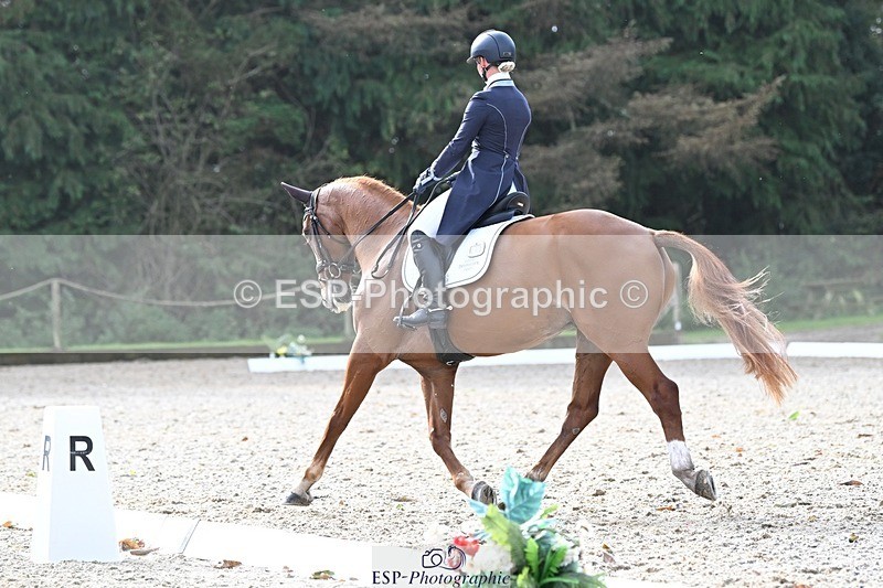 231019-121515-02705 - 043-OTTENTIK.NOBILITY-Dani.Evans-DR