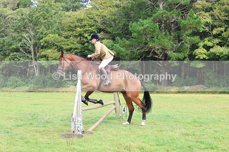 3E7A5827 - Class 26 and 27: 70cm Working Hunter