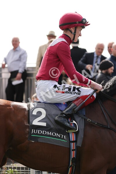 yr18082021r4-45 - Race 4 3.35pm Juddmonte International Stakes (British Champion Series race)