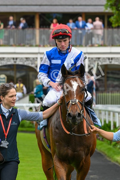 250524-Race 1-Tiriac-2743 - Race 1 1.35pm William Hill Keep Your Raceday Positive Handicap