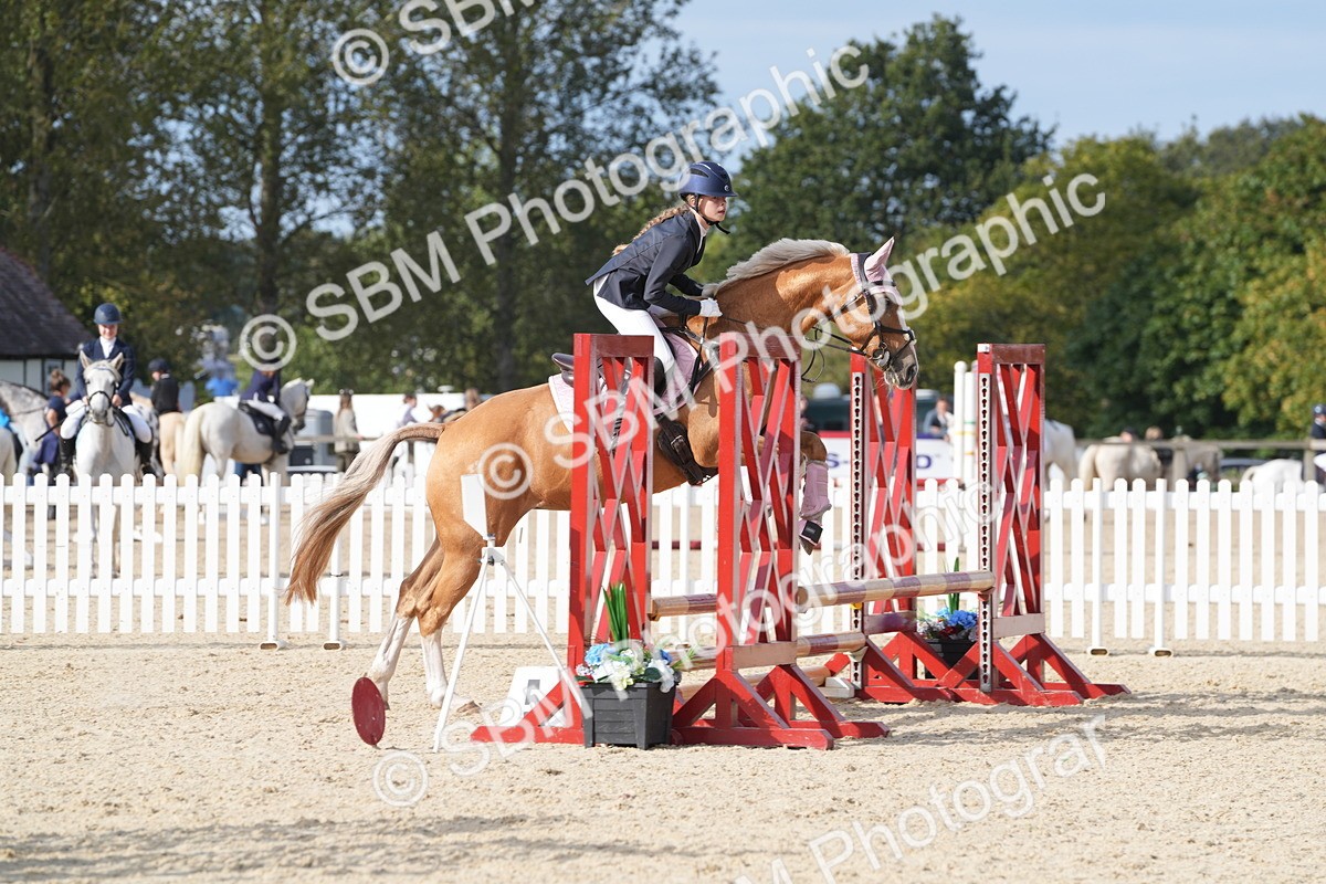 SBM_48841 - J22 - Junior Horse 65cm Championship
