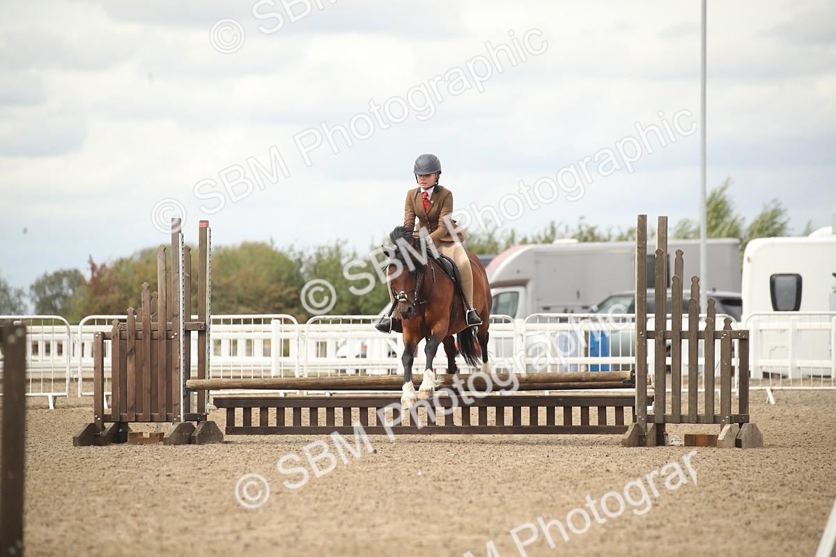 SBM_16786 - Class 507b - Working Veteran 60cm (20+)