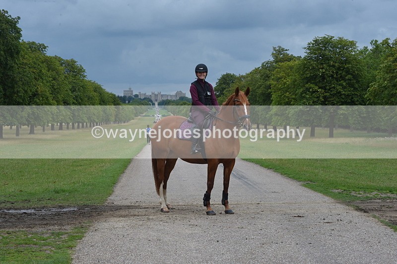 TT3_9309 - Time at Crossing 09:22 to 11:26