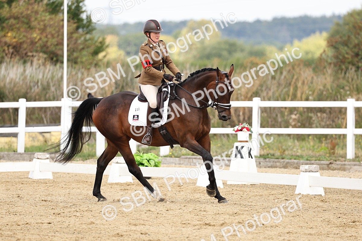 SBM_018295 - Class 16 - Novice 5 - 11.12-12.01