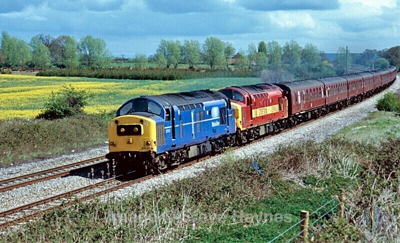 17th April 2004 - Creech St. Michael, Somerset.