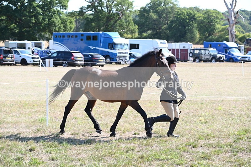 WJ6_7538 - Class 34 Judges Choice