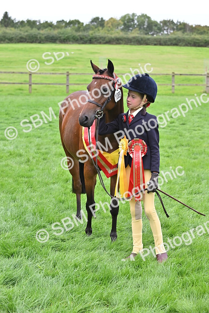 SBM_65018 - In Hand Pony & Younstock Supreme Championship