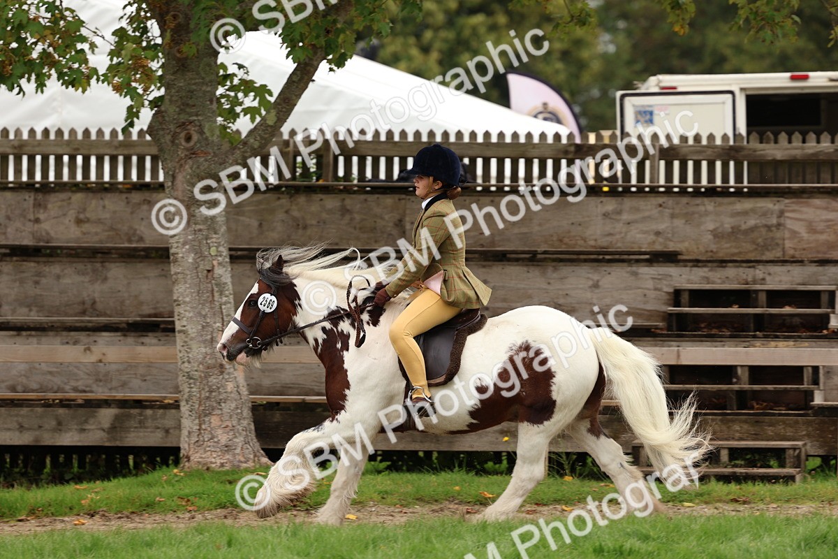 SBM_64600 - S58 - Coloured Pony Ridden