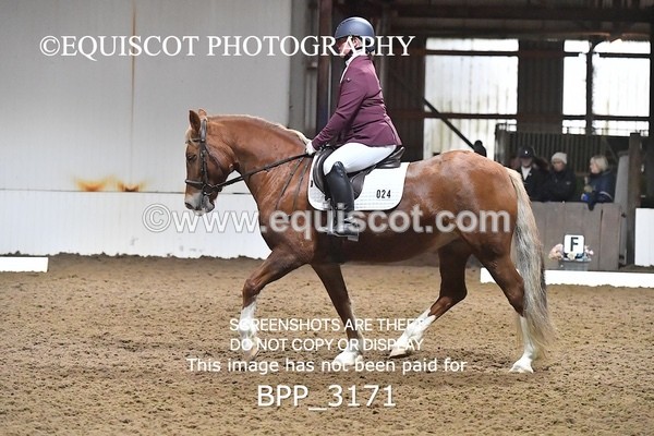 BPP_3171 - INTRO TEST 3