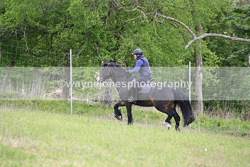 WJ6_1455 - Group 3 A&B Cameras