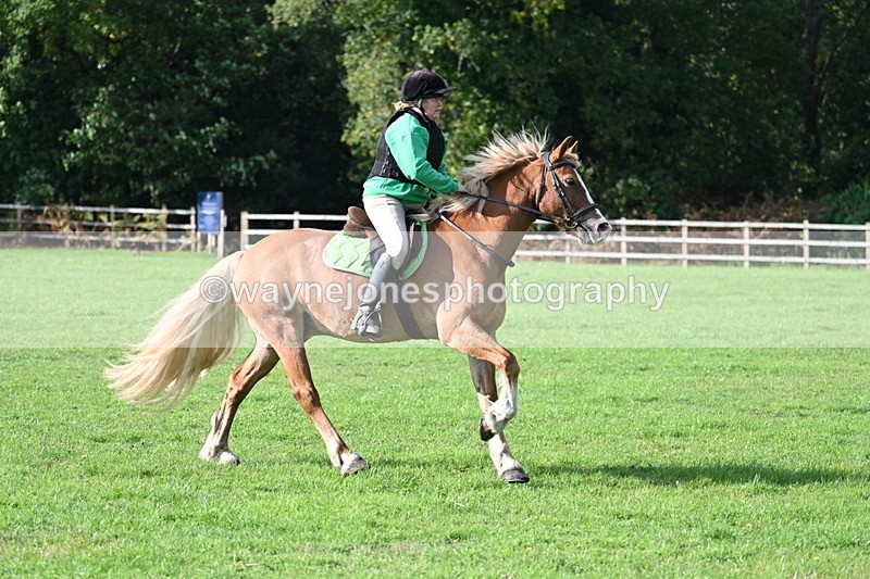 WJ7_3477 - 40cm Time 10:08 to 10:25