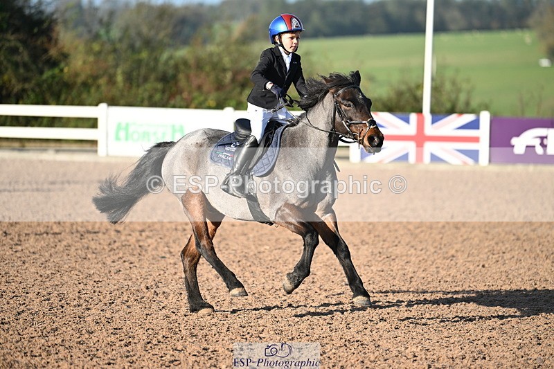 241026A-100812-00054 - SAT Cls 3 Pony Intro 70cm