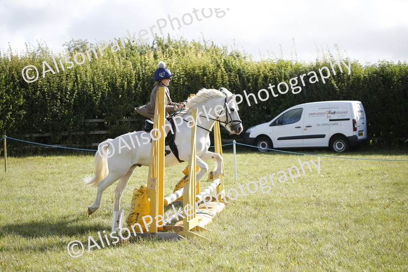 20250831-0133 - Class 1 - 50cm