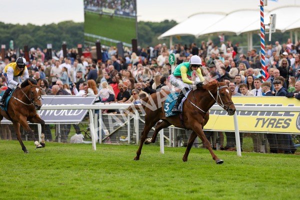 250524-Race 6-Primo Lara-3279 - Race 6 4.30pm Royal Yorkshire Regiment Handicap