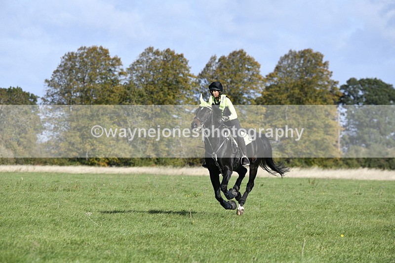 _DSC4960 - Time 10:27 to 10:48