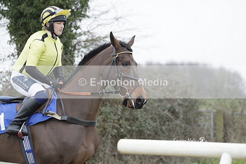 PtP 040323 648 - Duke of Beauforts Hunt Point-to-Point Didmarton 04/03/23