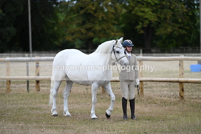 WJ7_8739 - Class 4a Prettiest Mare 14.2hh and over
