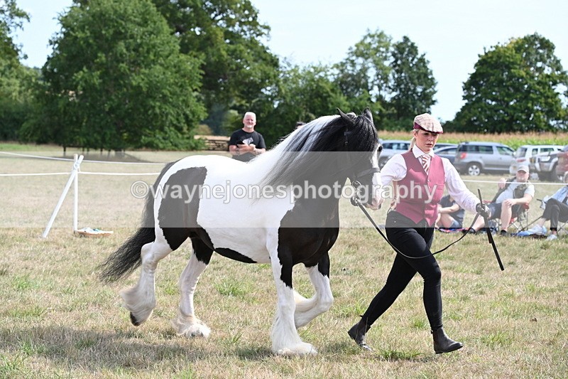 WJ6_6595 - Class 20 In-hand Cob