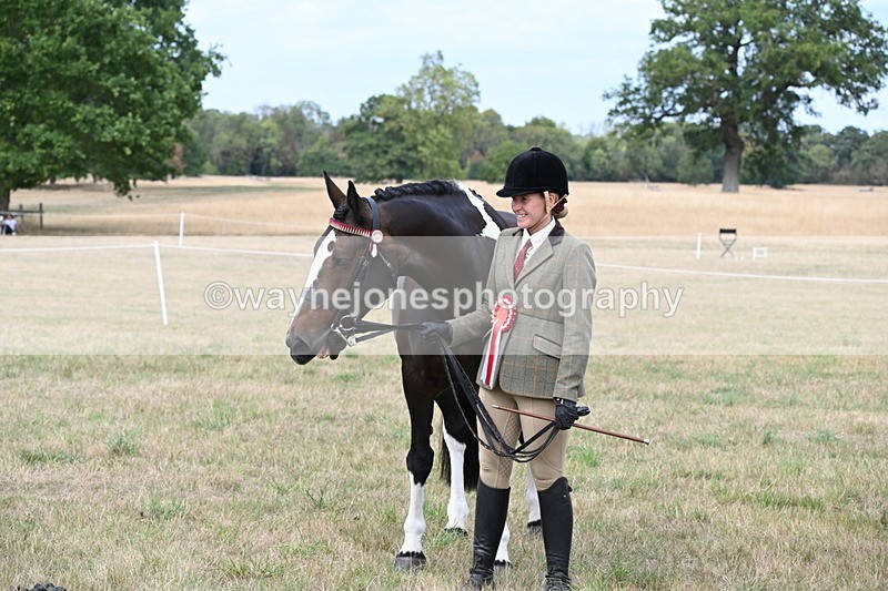 WJ6_6307 - Class 19 In-hand Veterans (Uploaded correct folder)