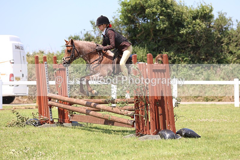 JPP_2972 - Class 22: Working Hunter 70cm