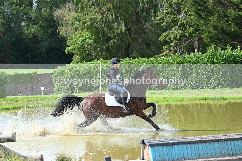 WJ7_1954 - Time 13:17 to 13:53