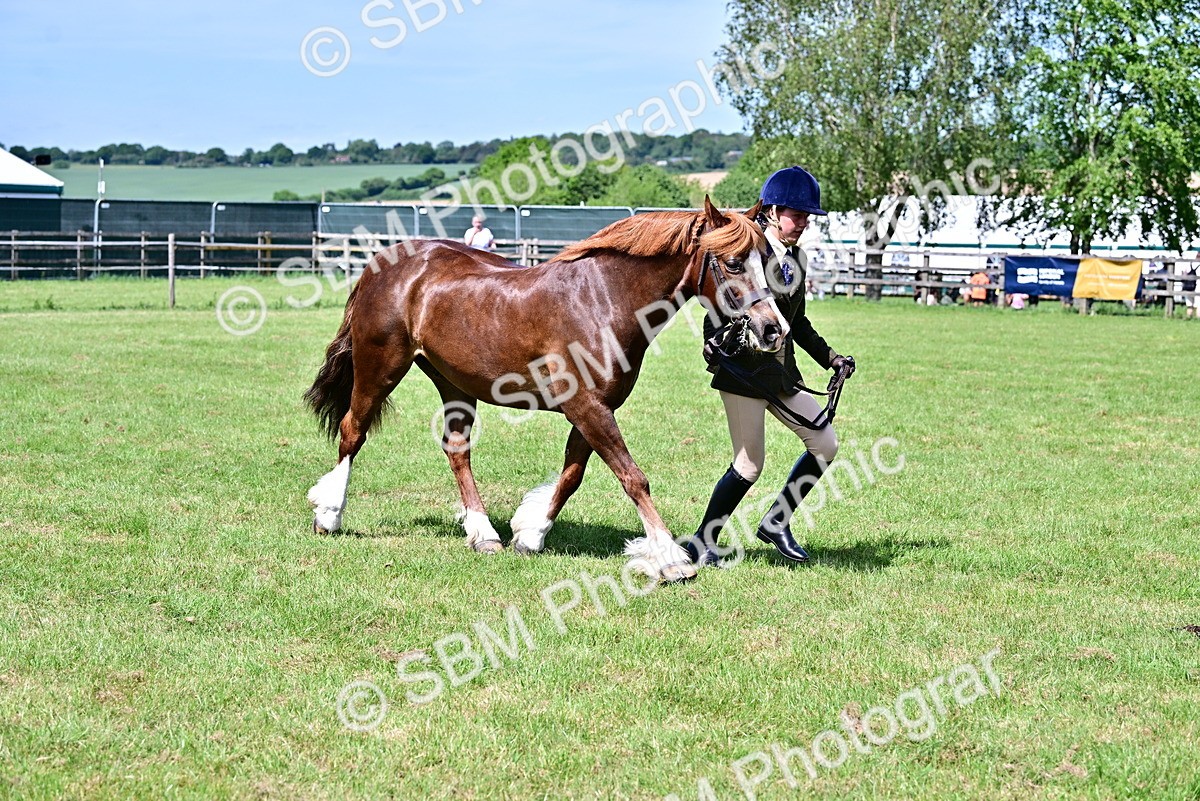 SBM_08056 - Class 61-62 - TSR  M&M Ridden Amateur of the Year