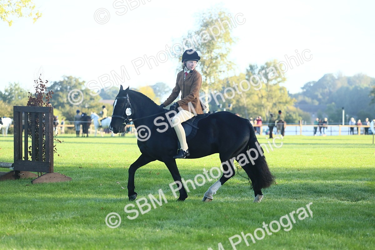 SBM_37346 - S29 - Novice & Newcomers Working Hunter Pony