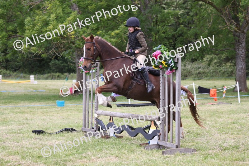 20260614-2742 - Class 22 - Open Working Hunter