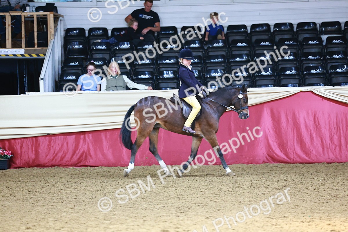 SBM_23188 - Class 904 - Supreme Final - Ridden Diamond