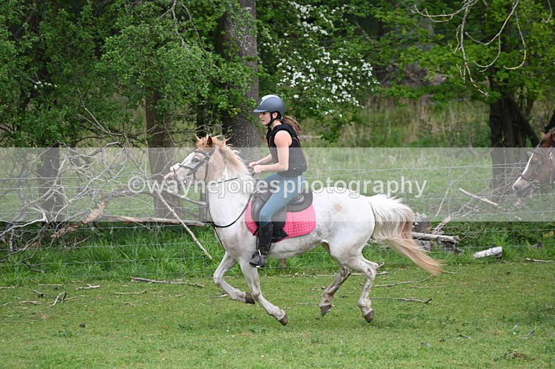 WJ6_3368 - A camera