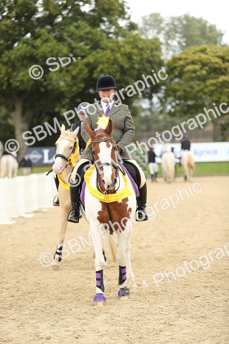 SBM_10018 - J36 - Veteran Rider 70cm